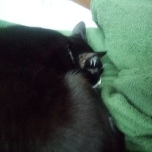 Meet your Posher, Lori